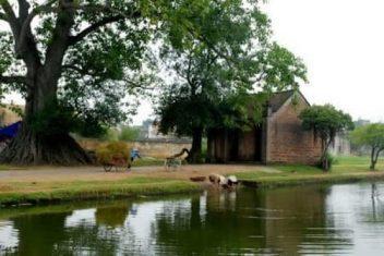 "Nhà quê" là gì? "Đồ nhà quê" có từ bao giờ?